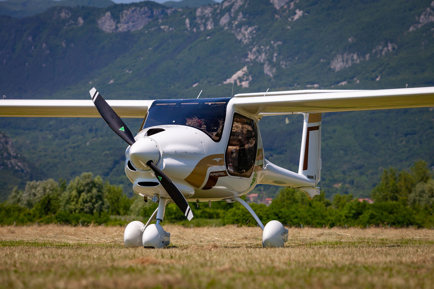 Pipistrel Explorer   Front (2)